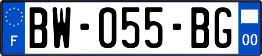 BW-055-BG