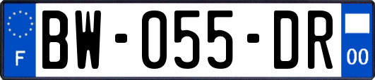 BW-055-DR