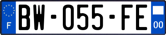 BW-055-FE