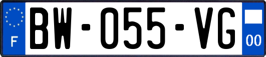 BW-055-VG
