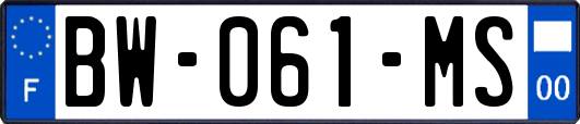 BW-061-MS