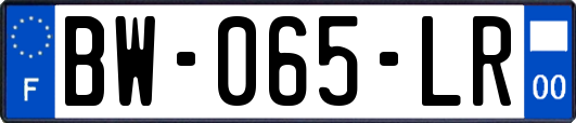BW-065-LR