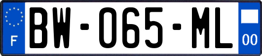 BW-065-ML