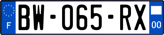 BW-065-RX