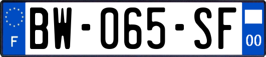 BW-065-SF