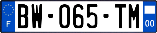 BW-065-TM
