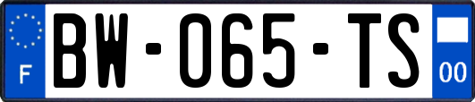 BW-065-TS