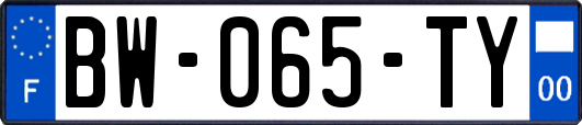 BW-065-TY