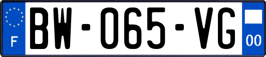 BW-065-VG