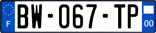 BW-067-TP