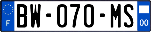 BW-070-MS