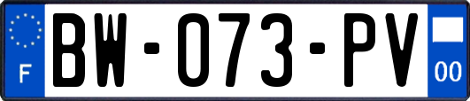 BW-073-PV