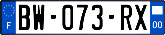BW-073-RX