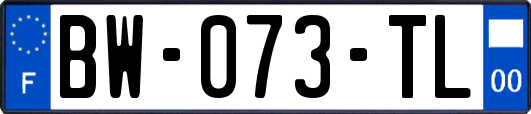 BW-073-TL
