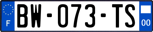 BW-073-TS