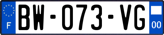 BW-073-VG