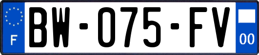 BW-075-FV