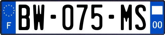 BW-075-MS