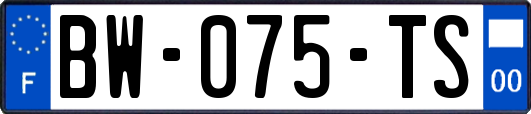 BW-075-TS