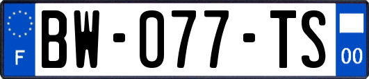 BW-077-TS