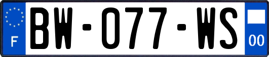 BW-077-WS