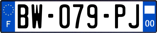BW-079-PJ