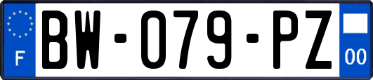 BW-079-PZ