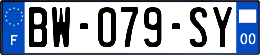 BW-079-SY