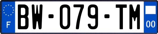 BW-079-TM