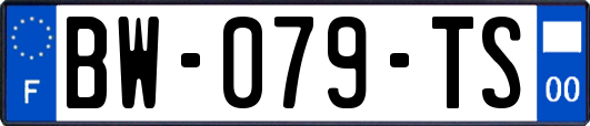 BW-079-TS