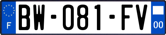 BW-081-FV