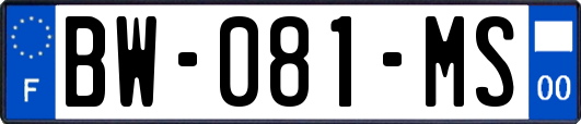 BW-081-MS