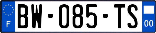 BW-085-TS