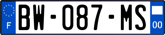BW-087-MS
