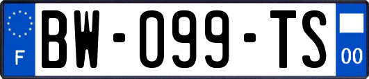 BW-099-TS