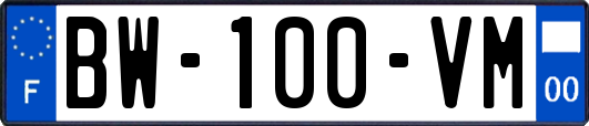 BW-100-VM