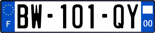 BW-101-QY