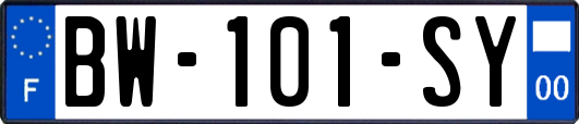 BW-101-SY