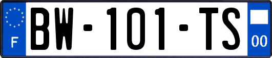 BW-101-TS