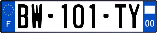 BW-101-TY