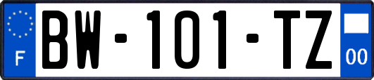 BW-101-TZ