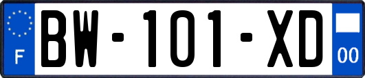 BW-101-XD