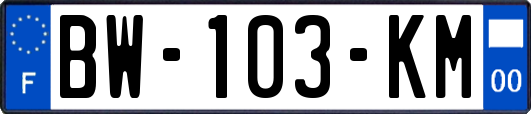 BW-103-KM