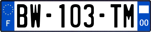 BW-103-TM