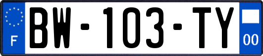 BW-103-TY