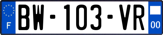 BW-103-VR