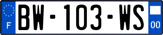 BW-103-WS