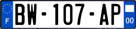 BW-107-AP