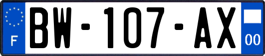 BW-107-AX