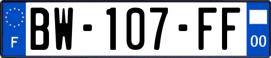 BW-107-FF